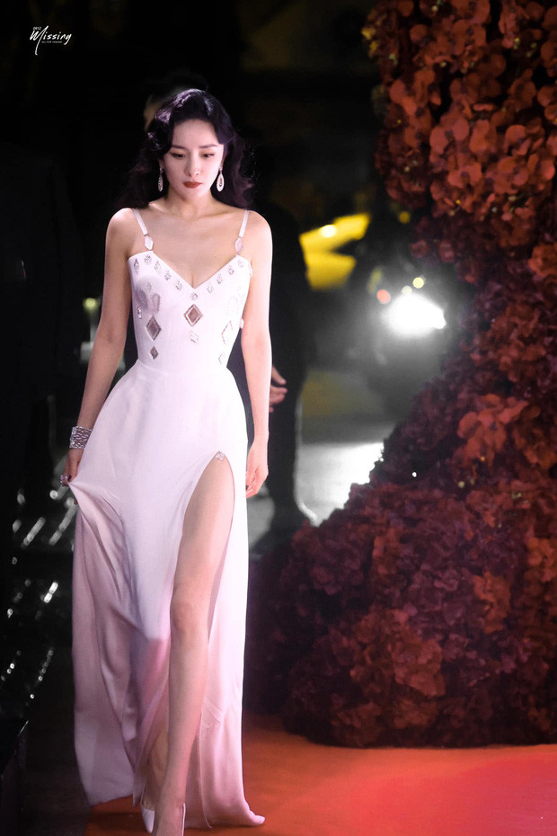 Lộ nhan sắc thật của dàn sao Hoa ngữ trên thảm đỏ: Dương Mịch gặp biến vẫn 'ngút' thần thái Ảnh 7