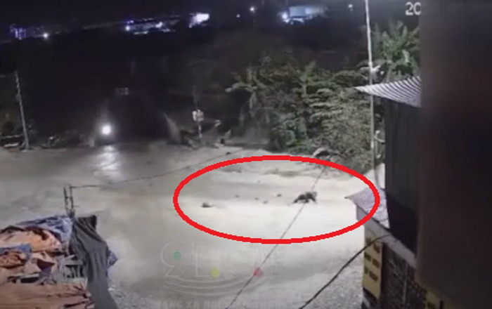 Clip: Nam thanh niên lộn nhiều vòng rồi nằm bất tỉnh sau khi điều khiển xe máy lao trúng ổ gà trên đường Ảnh 2