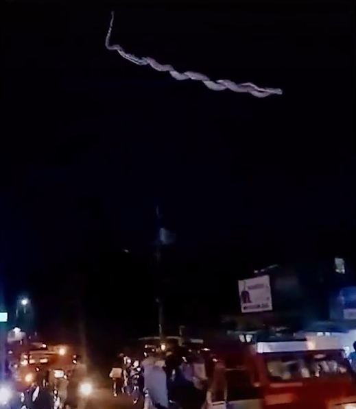 Con trăn oằn mình đu dây điện. 