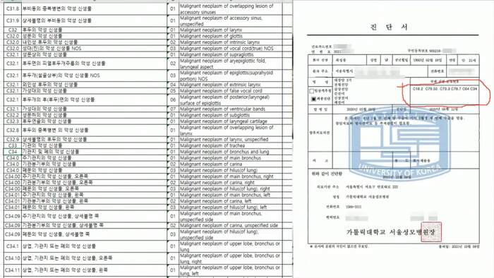 Bằng chứng giả mạo được đưa ra.