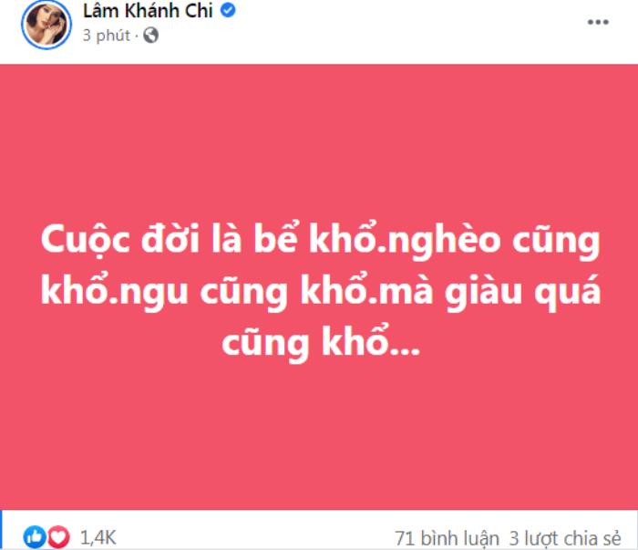 Sau khi lên tiếng bênh vực Hồ Văn Cường, Lâm Khánh Chi bất ngờ ẩn ý: 'Người giàu quá cũng khổ' Ảnh 4