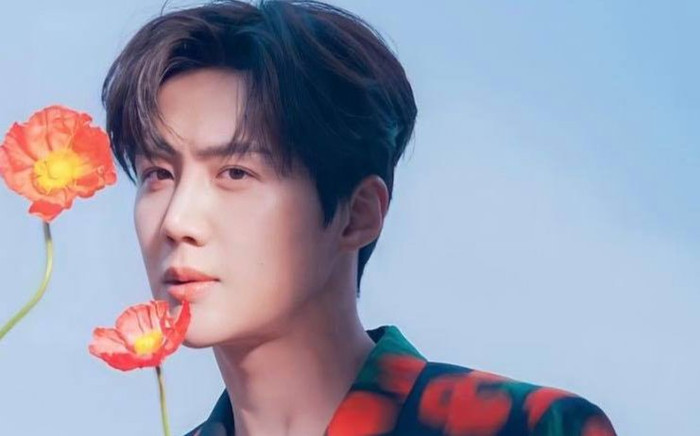 Hết nhãn hàng đến chương trình tuyên bố quay lưng, Kim Seon Ho đang dần bị 'phong sát' tại Hàn Quốc? Ảnh 2