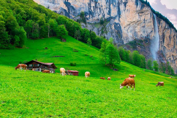 Ảnh: The PetroTimes