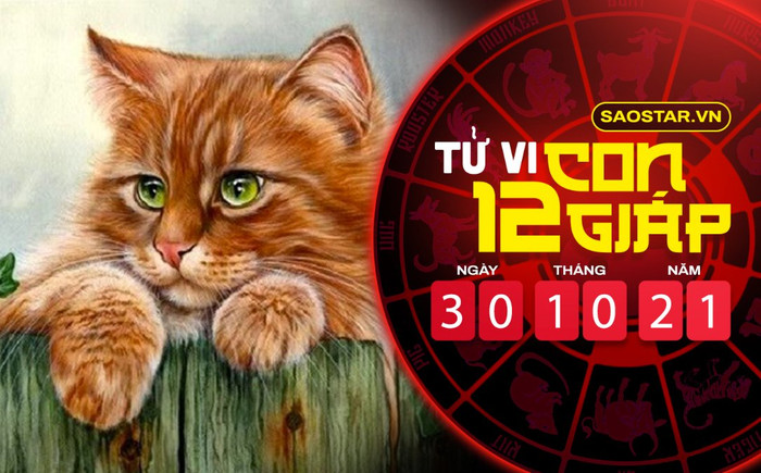 Tử vi hôm nay thứ 7 ngày 30/10/2021 của 12 con giáp: Mão tài vận sa sút, Mùi được quý nhân giúp đỡ Ảnh 2