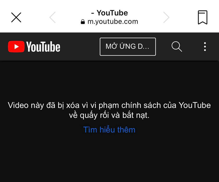 Video của ông Lê Tùng Vân 'bốc hơi' khỏi Youtube sau màn tuyên bố cho 20 tỷ của bà Nguyễn Phương Hằng Ảnh 4