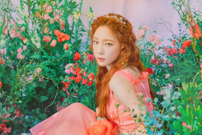 Fan hoang mang chuyện Taeyeon (SNSD) gặp lừa đảo, thiệt hại tới hơn 20 tỷ đồng Ảnh 5