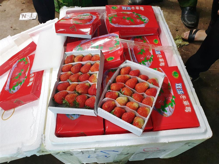 Đi chợ cần cẩn thận các loại trái cây này, tránh mua nhầm đồ Trung Quốc đang tràn ngập Ảnh 5
