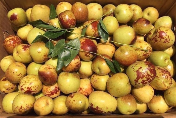 Đi chợ cần cẩn thận các loại trái cây này, tránh mua nhầm đồ Trung Quốc đang tràn ngập Ảnh 7