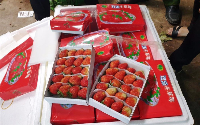 Đi chợ cần cẩn thận các loại trái cây này, tránh mua nhầm đồ Trung Quốc đang tràn ngập Ảnh 2
