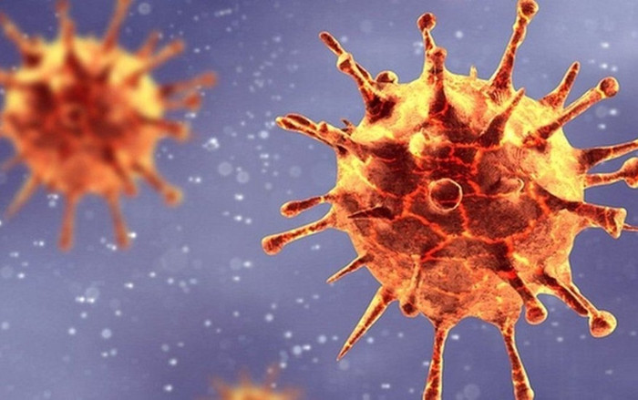 Singapore ghi nhận ca đầu tiên nhiễm biến thể phụ AY.4.2 của chủng Delta Ảnh 2