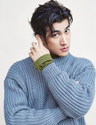 'Hoàng tử Vô Ưu' Lý Trị Đình là nghệ sĩ sở hữu nét đẹp từ ba dòng máu Trung Quốc, Ả Rập và Malaysia. Chiều cao của anh chàng là 1m75. 