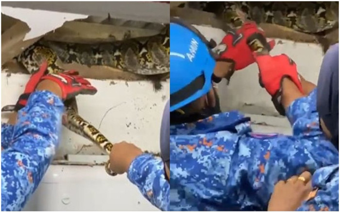 Phòng vệ sinh sạch sẽ bỗng đầy bụi đất, cả nhà sinh nghi đi kiểm tra thì 'tá hoả' phát hiện thứ trên trần Ảnh 2