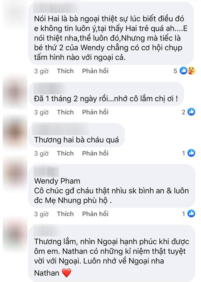 Wendy Phạm hé lộ hình ảnh hiếm của con trai bên bà ngoại Phi Nhung Ảnh 4