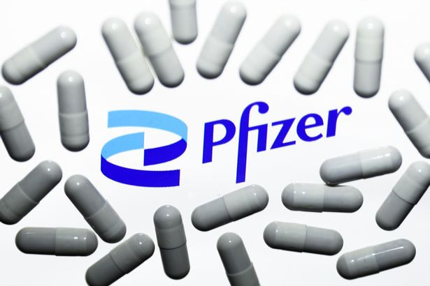 Pfizer công bố thuốc uống chữa Covid-19 giảm nguy cơ tử vong gần 90% Ảnh 2