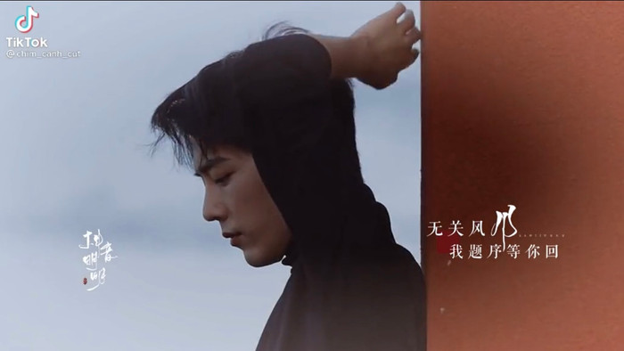 Đâu chỉ Vương Nhất Bác, Lý Thấm cũng được ship nhiệt tình với Tiêu Chiến trong MV fanmade đẹp như mơ Ảnh 8