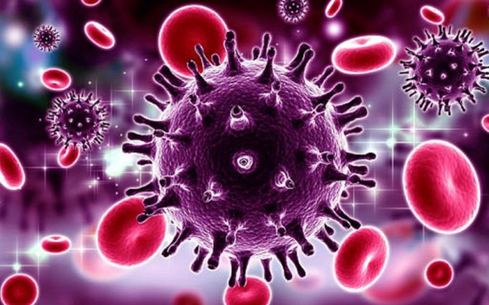 Phát hiện virus corona mới lây nhiễm sang người Ảnh 2