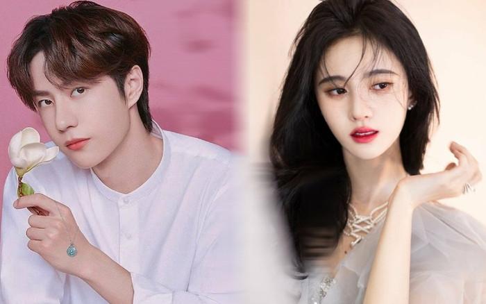 Vương Nhất Bác và Cúc Tịnh Y có đang bị cản bước sự nghiệp vì định kiến của khán giả? Ảnh 2