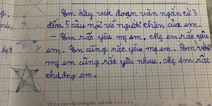 Viết đoạn văn ngắn tả về mẹ, bé gái khiến dân mạng cười ngất vì 5 câu như 1 Ảnh 1