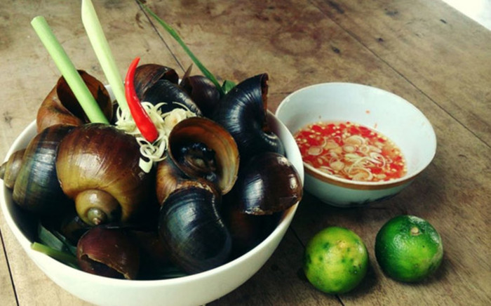 Những điều kiêng kị khi ăn ốc mà bạn phải nhớ kỹ nếu không muốn rước bệnh vào thân Ảnh 2