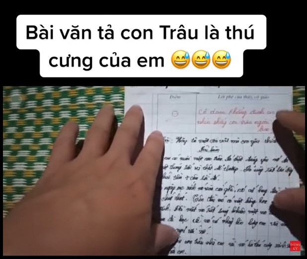 Dân tình cười ngất trước bài văn tả con trâu 'kỳ lạ' của học sinh lớp 6 bị cô giáo thẳng tay chấm điểm 0 Ảnh 1