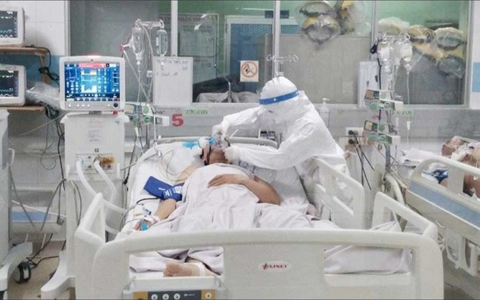 Sáng 12/11: Gần 846.000 ca COVID-19 được chữa khỏi Ảnh 2