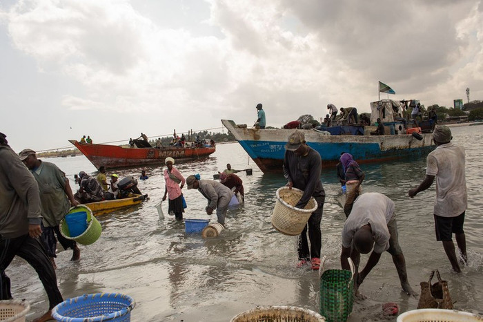 Người dân tại một chợ cá ở thành phố Dar es Salaam, Tanzania. Ảnh: Wall Street Journal.