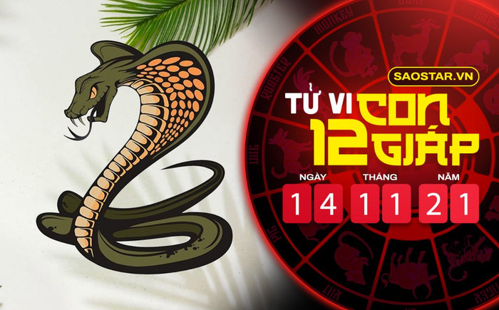 Tử vi hôm nay chủ nhật ngày 14/11/2021 của 12 con giáp: Tỵ có tin vui về tiền bạc, Mùi cẩn thận kẻ thứ 3 Ảnh 2