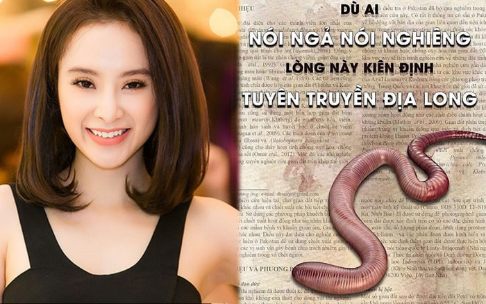 Angela Phương Trinh: 'Dù ai nói ngả nói nghiêng, lòng này kiên định tuyên truyền địa long' Ảnh 2