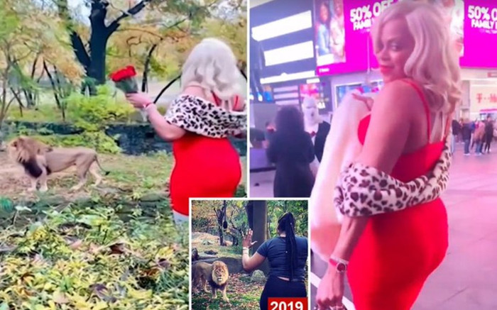 Người phụ nữ trèo vào chuồng sư tử chỉ để nói lời yêu với 'Chúa tể rừng xanh' Ảnh 2