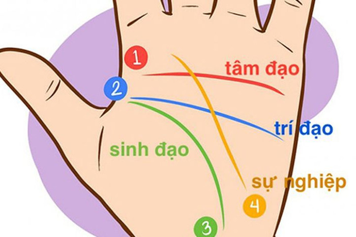 3 tướng tay của người giỏi kinh doanh, làm đâu thắng đó, tài lộc dồi dào Ảnh 1