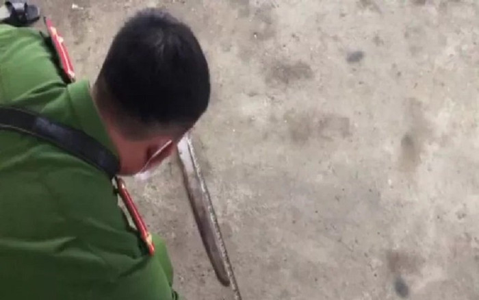 Cậu ruột ném dao vô tình trúng cổ cháu gái 4 tuổi gây tử vong Ảnh 2
