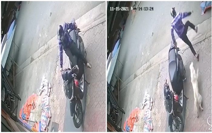 Bẻ khóa chiếc SH định rời đi, tên đạo chích liền bỏ chạy thục mạng khi thấy một 'bóng trắng' phi ra Ảnh 2