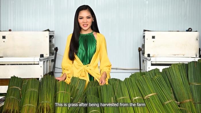 Miss Earth 2021 vào chặng đua nước rút, Vân Anh tung bộ ảnh nóng rẫy khiến fans 'trầm trồ' Ảnh 5