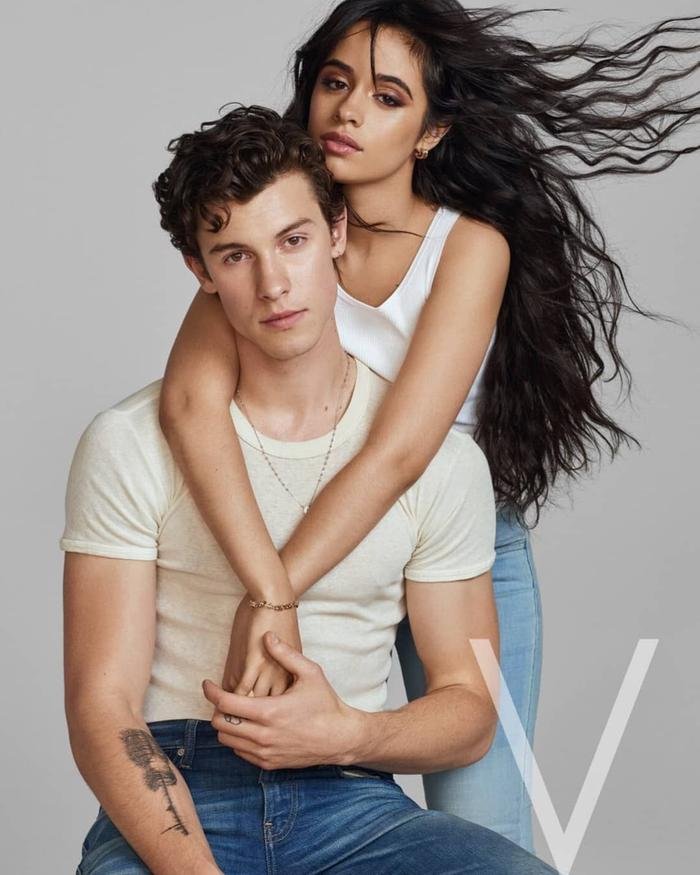 Bộ đôi 'Señorita' Camila Cabello và Shawn Mendes chia tay sau 2 năm hẹn hò nồng thắm Ảnh 6