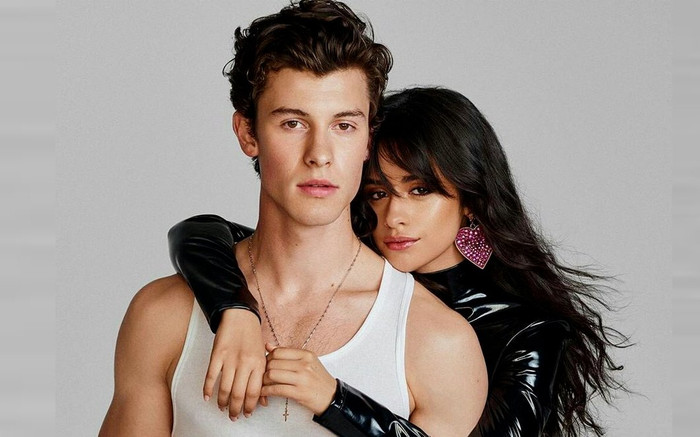 Bộ đôi 'Señorita' Camila Cabello và Shawn Mendes chia tay sau 2 năm hẹn hò nồng thắm Ảnh 2