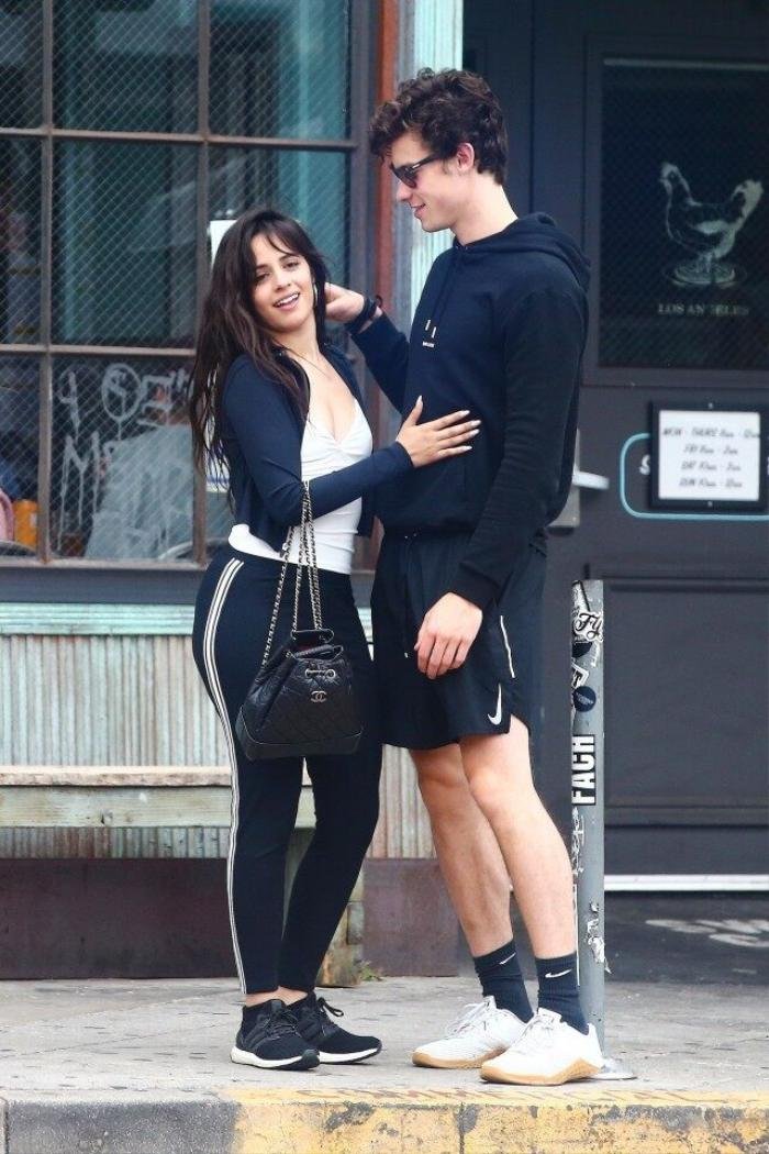 Bộ đôi 'Señorita' Camila Cabello và Shawn Mendes chia tay sau 2 năm hẹn hò nồng thắm Ảnh 2