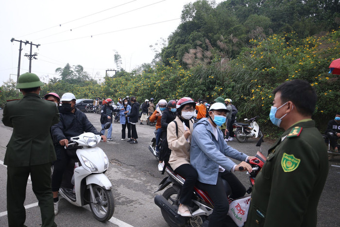 Kéo nhau lên vườn quốc gia Ba Vì ngắm dã quỳ, du khách nhận phải thất vọng tràn trề Ảnh 3