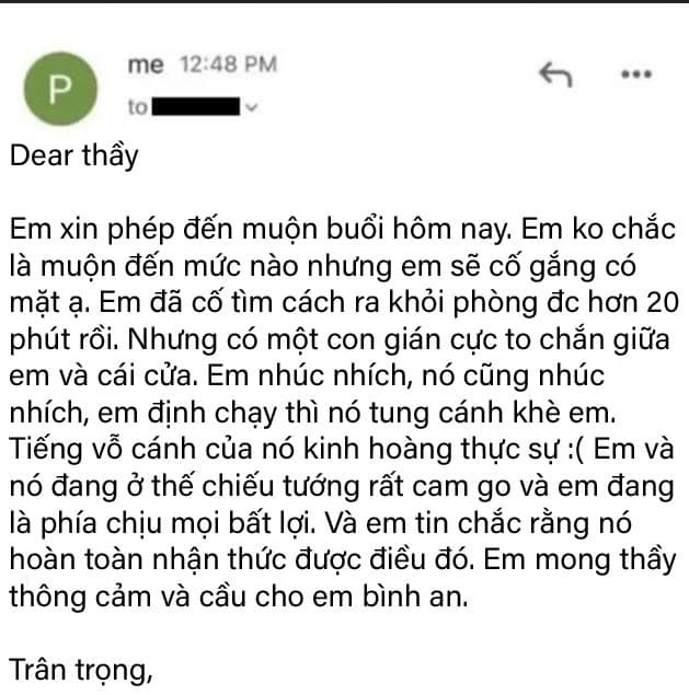 Viết đơn xin phép đi học muộn, nam sinh mang hết vốn liếng 'văn vở' của mình để thuyết phục thầy giáo Ảnh 1