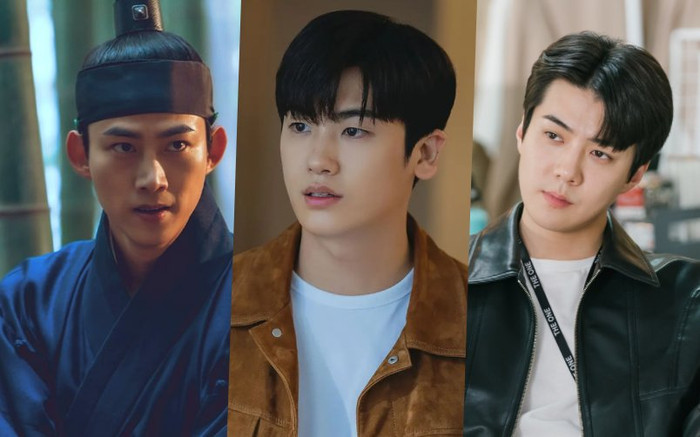 Taecyeon, Park Hyung Sik và dàn idol Kpop bén duyên với diễn xuất không thua gì diễn viên chuyên nghiệp Ảnh 2
