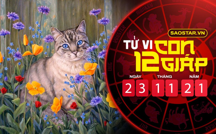 Tử vi hôm nay thứ 3 ngày 23/11/2021 của 12 con giáp: Sửu tài lộc sa sút, Mão được Thần Tài chiếu cố Ảnh 2