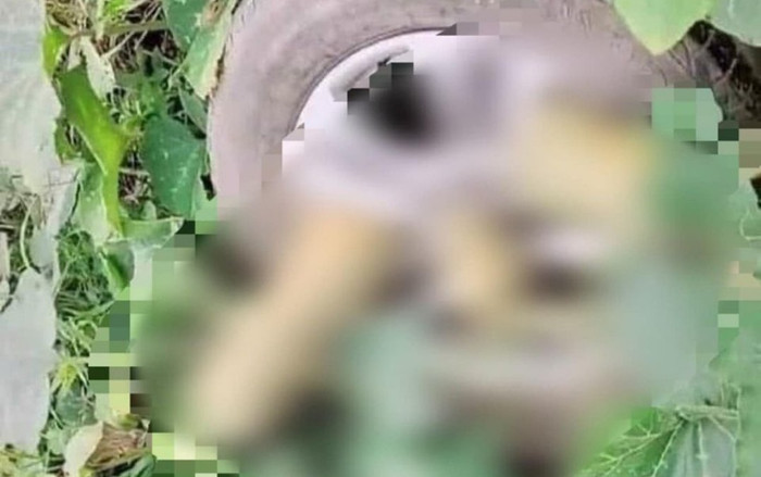 Nửa năm quay lại dọn dẹp chiếc ô tô du lịch, bác tài được phen 'há hốc miệng' với thứ kẹt ở bánh xe Ảnh 2