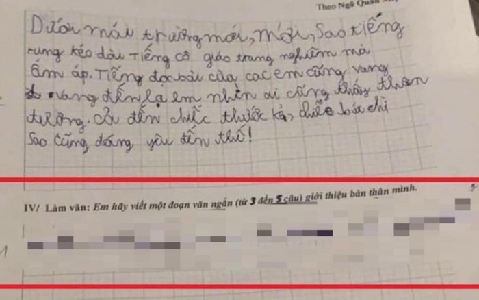 Làm văn giới thiệu về bản thân mình, cậu bé viết 4 từ khiến cô giáo phải ôm bụng cười Ảnh 2