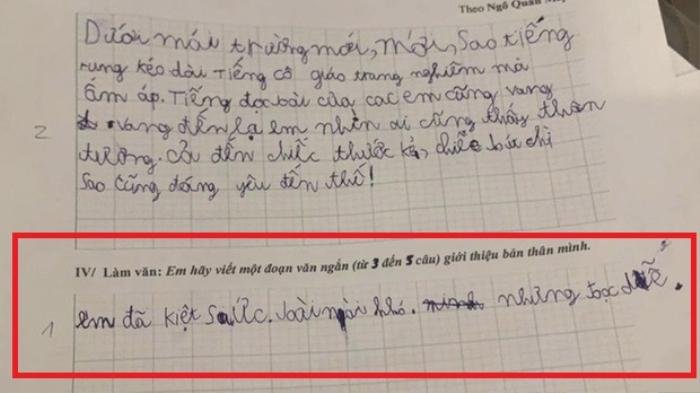 Làm văn giới thiệu về bản thân mình, cậu bé viết 4 từ khiến cô giáo phải ôm bụng cười Ảnh 1
