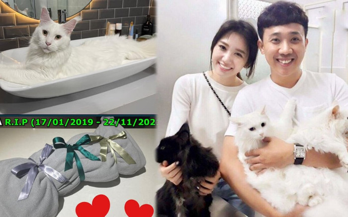 Trấn Thành báo tin buồn Ya-Ua té lầu không qua khỏi: 'Ba mẹ xin lỗi con nhiều lắm' Ảnh 2