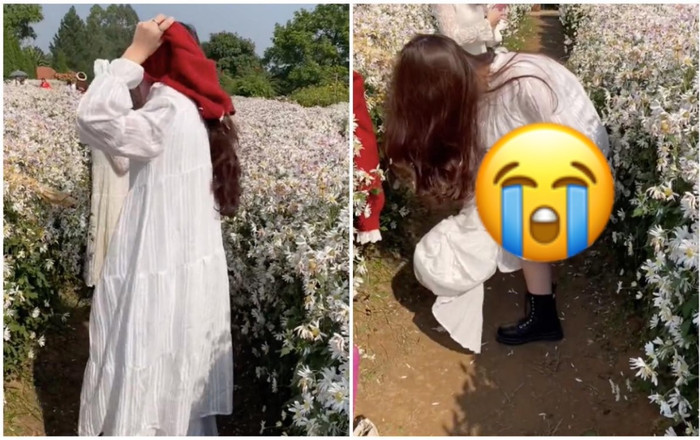 Hotgirl lột áo thay đồ giữa vườn cúc họa mi, hành động sau đó khiến dân tình 'ném đá' dữ dội Ảnh 2