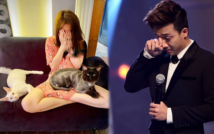 Trấn Thành tiết lộ tình trạng hiện tại của Hari Won khi mèo cưng té lầu không qua khỏi Ảnh 2