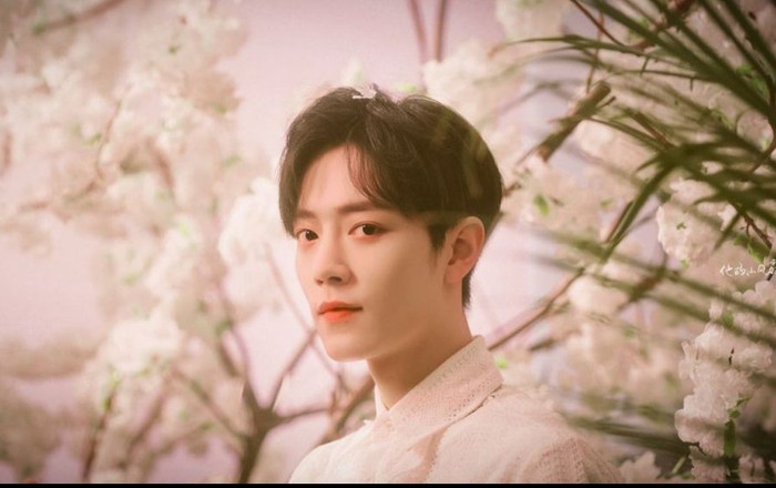 Lễ hội âm nhạc Tencent: Tiêu Chiến, TFBOYS, Thái Từ Khôn, Lay đều có mặt? Ảnh 2