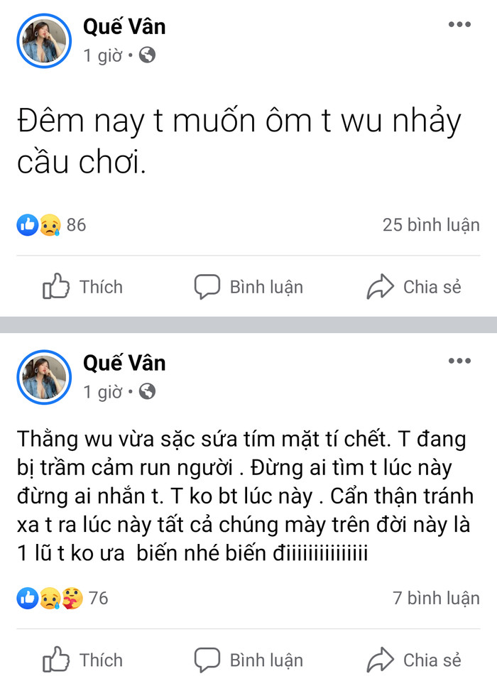 Nữ ca sĩ Vbiz đòi ôm con nhảy cầu, tuyên bố 'đừng ai tìm tôi lúc này' khiến dân tình hoang mang Ảnh 1