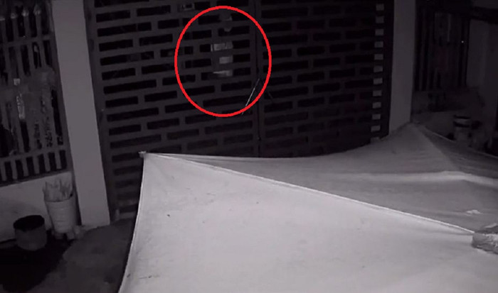 Bóng trắng hiện lên dọa chủ nhà một phen thất kinh. 