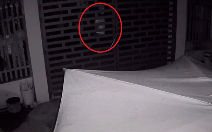 Nửa đêm nghe tiếng chó sủa, chủ nhà ra xem nhưng không có ai, kiểm tra camera lại được phen thất kinh Ảnh 2